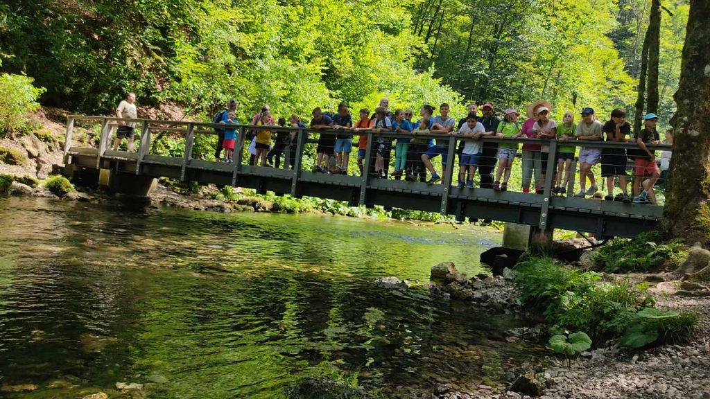 Jezici na kraju staze