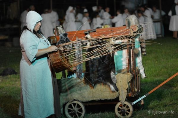 2024 08 11 nova raca 30 768x512 1