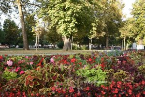 2024 08 17 park bjelovar 20