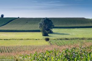 2024 08 19 zeljko smesnjak 1