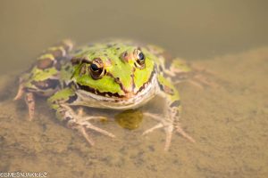 2024 08 19 zeljko smesnjak 3