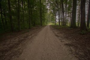 2024 08 19 zeljko smesnjak 6