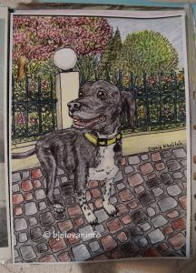 2024 10 11 libanonka 6