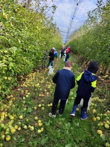 Jesenske aktivnosti u Djecjem vrticu 8