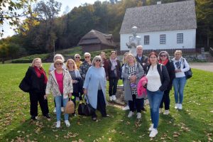 festival kulturne bastine i tradicije 8