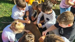 zdrave navike IV osnovna skola 3