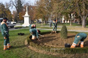 2024 11 06 arhiv knjiznica 22