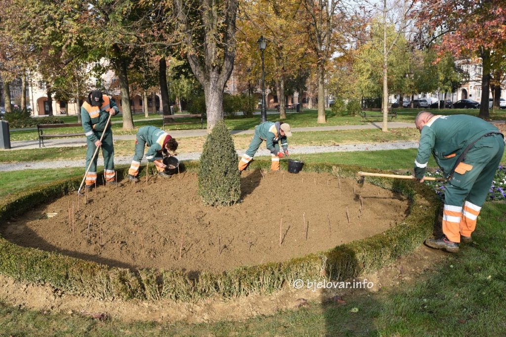 2024 11 06 arhiv knjiznica 27
