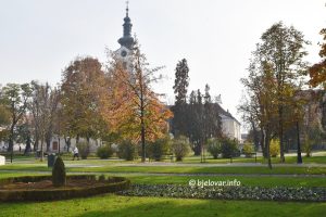 2024 11 06 arhiv knjiznica 42
