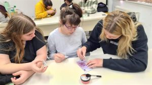 gimnazija cazma i policija 1