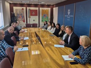 nasilje nad zenama zupanija 3