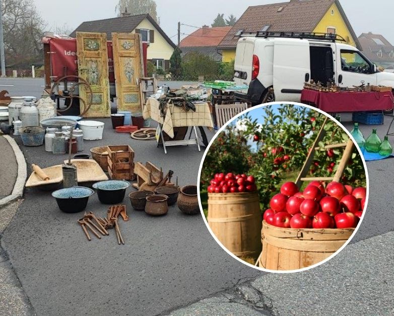 Za vikend posjetite 3. Sajam antikviteta, starina i kolekcionarstva te 3. Sajam OPG-a i EKO proizvođača sajam antikviteta opg a 2024 naslovna