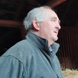 potpore u poljoprivredi krave galin 4