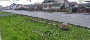 zelena mreza bjelovara 2