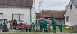 zelena mreza bjelovara 3