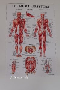 2025 02 22 fiziva 42