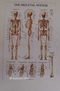 2025 02 22 fiziva 43