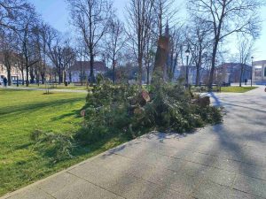 viber image 2025 02 20 10 51 03 656