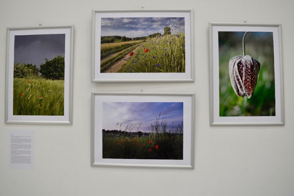 2025 03 01 izlozba antonija 3