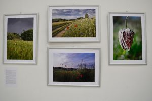 2025 03 01 izlozba antonija 3