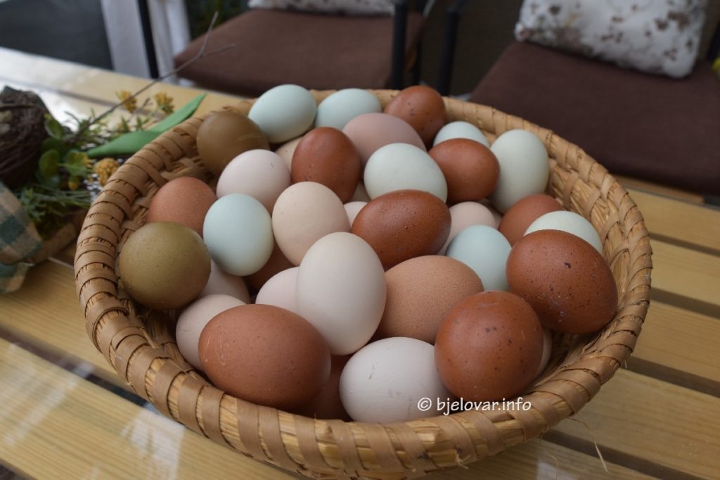 2025 04 07 bjelovar 47