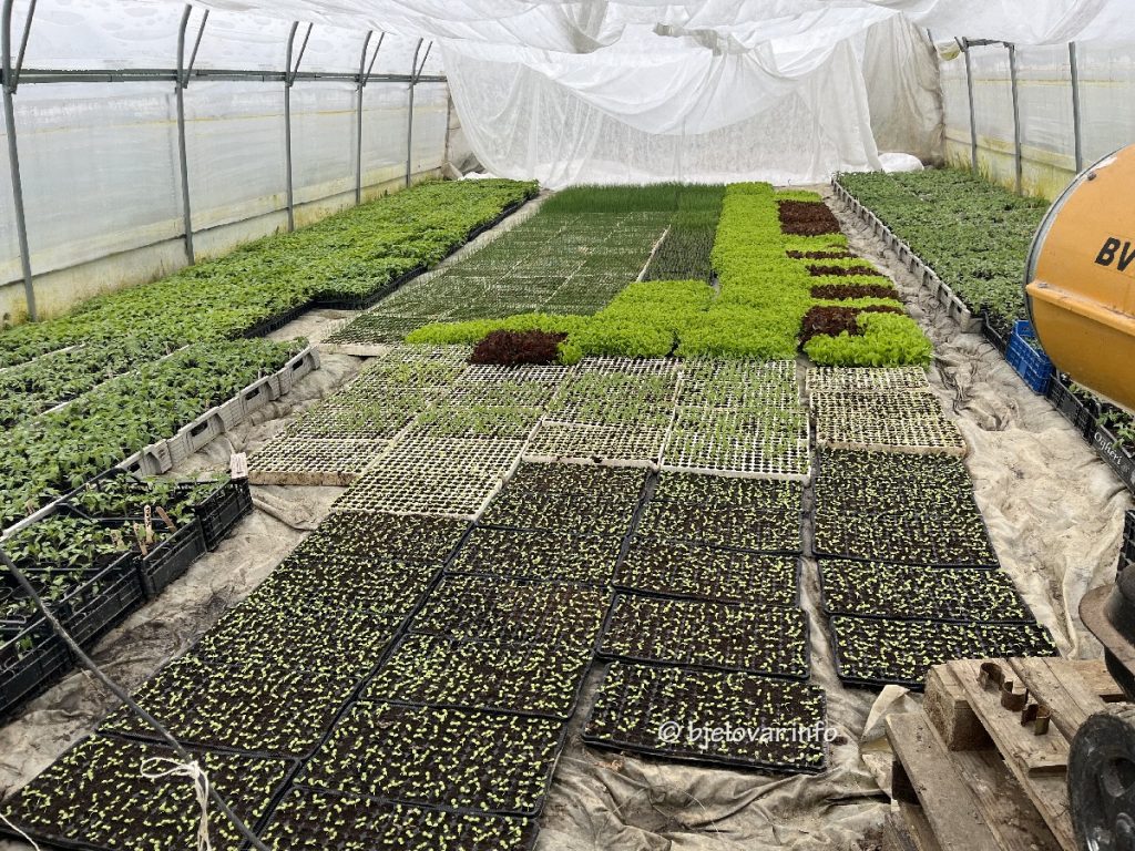 2025 04 08 opg bobinac 4