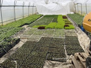 2025 04 08 opg bobinac 4