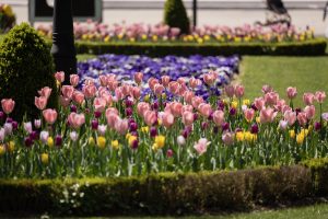 2025 04 11 bjelovar uskrs 2