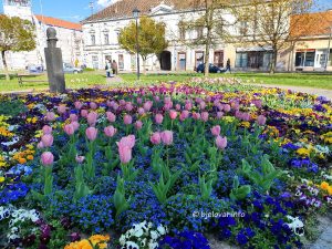 2025 04 13 proljece bjelovar 1