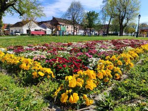 2025 04 13 proljece bjelovar 10