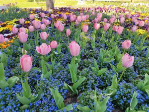 2025 04 13 proljece bjelovar 11