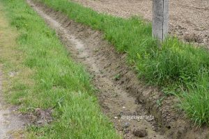 2025 04 17 stancici 6