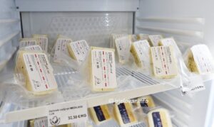 2025 05 22 bilogorska kosara 8