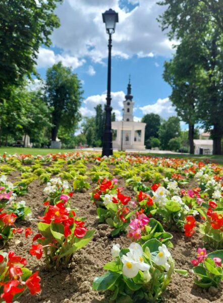 park cvijece komunalac 2