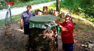 2025 06 10 lipa garesnica 3