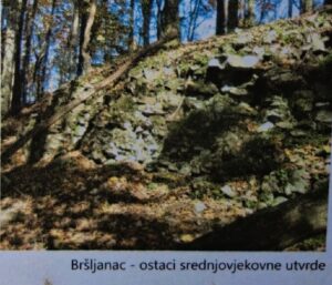 2025 06 10 lipa garesnica 8