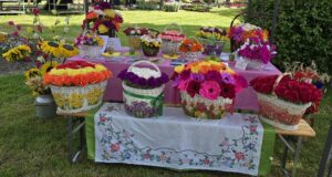 2025 06 28 crkvenac 6