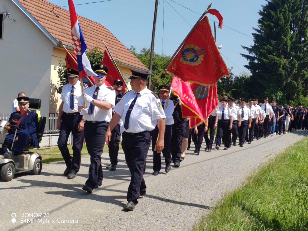dvd curlovac 15