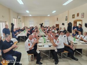 dvd curlovac 28