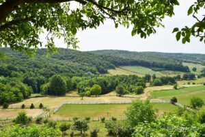 2021 06 25 na malenom brijegu 1