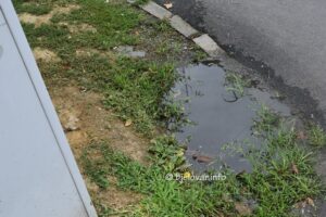 2025 07 16 gunduliceva 38