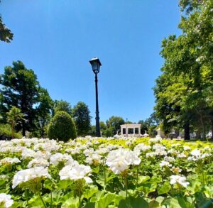 2025 07 19 bjelovar 3