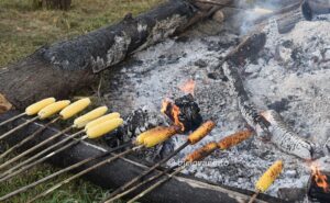 2025 07 27 pecenjakfest1 17