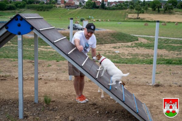 park za pse daruvar 2