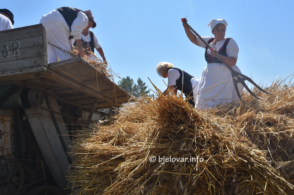 2025 08 10 masinanje 60