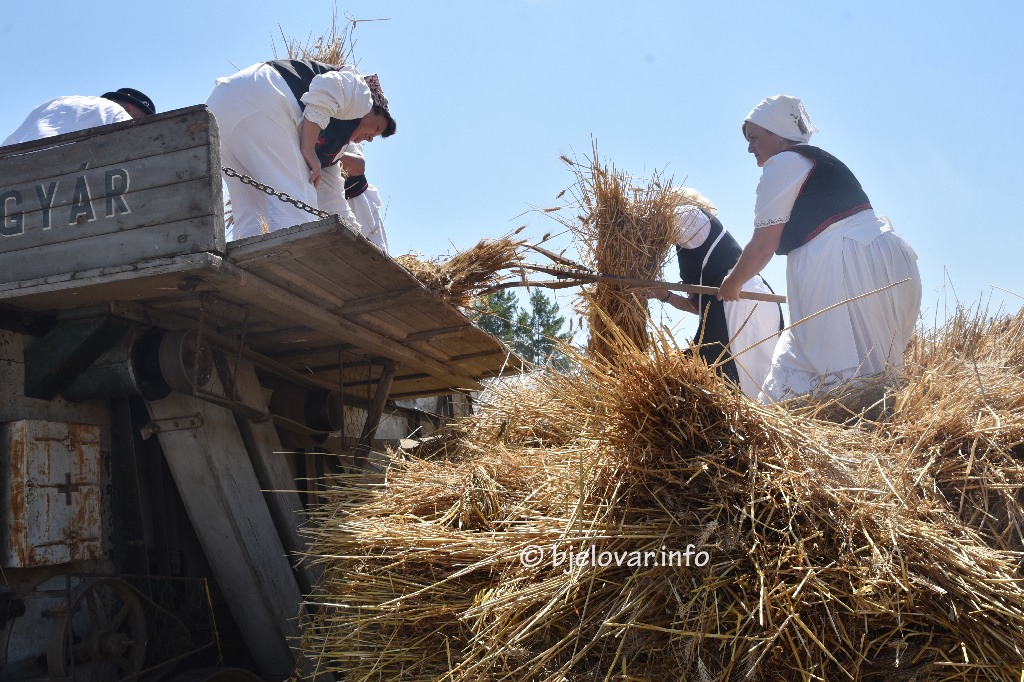 Tradicija jača od vrućine – Ploščićko mašinanje okupilo stotine sudionika 2025 08 10 masinanje slike 1
