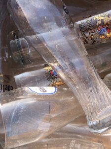 2025 09 04 buvljak 1