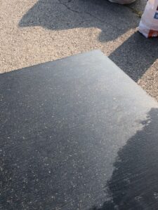 2025 09 04 buvljak 12