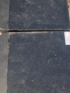 2025 09 04 buvljak 2