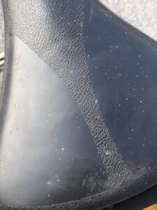 2025 09 04 buvljak 9